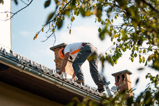 Best Tile Roofing Contractor  in Cleary, MS